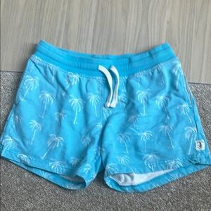 Men’s Chubbies Blue Palm Tree Print Lounge Shorts